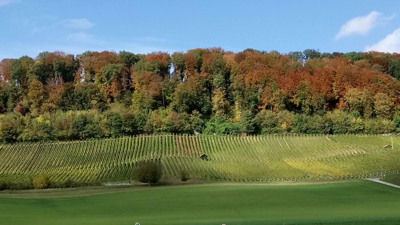 Ferienzimmer Zuelli Erlach Esterno foto